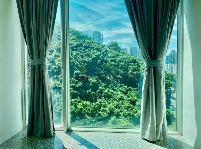 Casa 880 – Modern Living at 880 King’s Road – 4