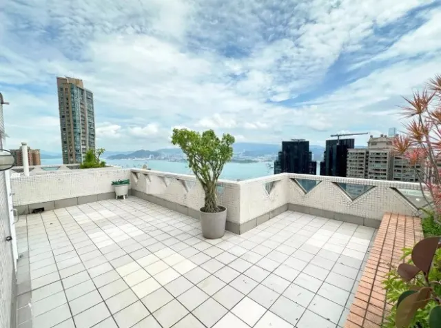 SCENECLIFF + ROOF
