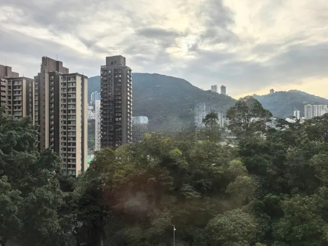 GREENWAY TERRACE 匯翠台 – 7