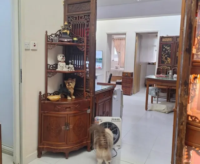 Sincere Western House