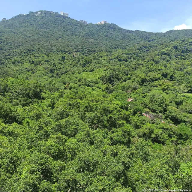 YAR CHEE VILLAS + GARDEN 雅致洋房