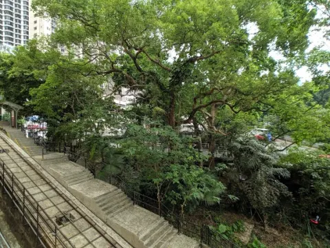 2 TRAMWAY PATH – 4