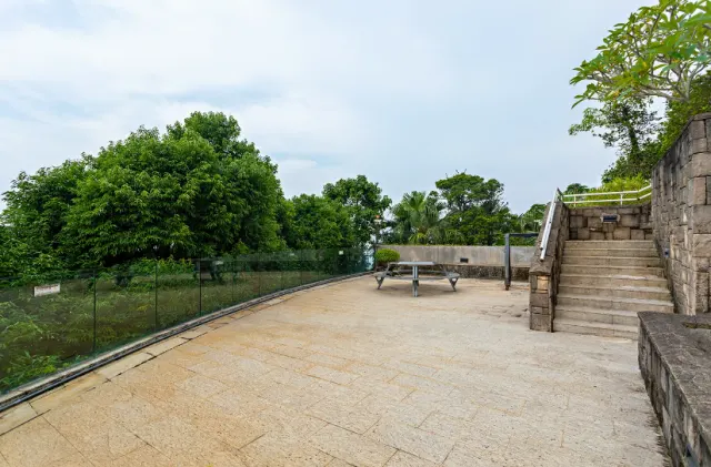 56 PLANTATION ROAD 種植道56號 – 19