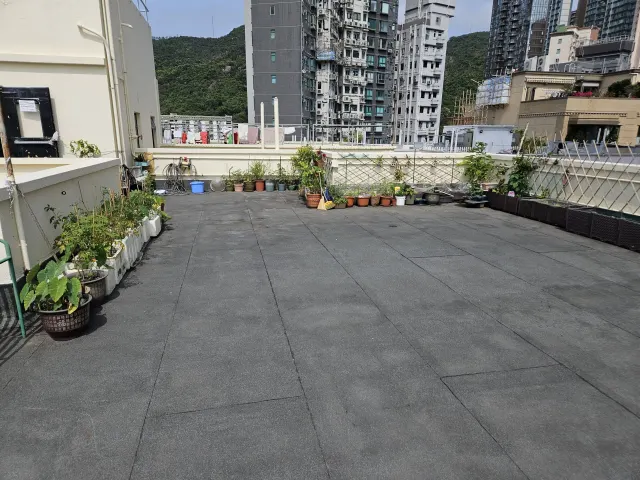 5 WANG FUNG TERRACE – 15