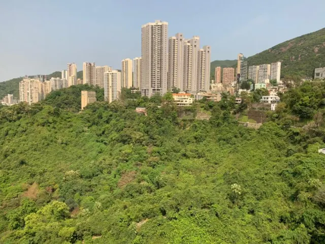 Broadwood Park 柏樂苑