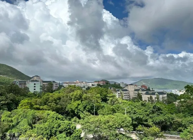33 CAPE ROAD – 11