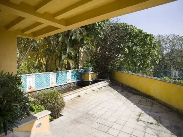 CARMELIA – 15