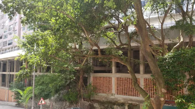 FIRST MANSION – 4