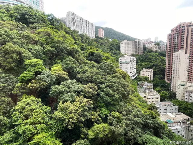 SHAN KWONG TOWER 山光苑