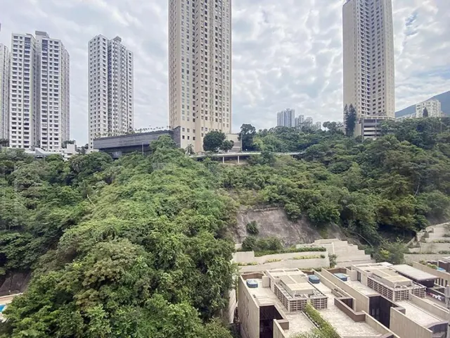 FORMWELL GARDEN 豐和苑 – 13