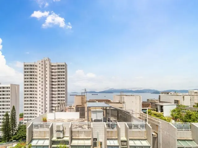 Bisney View 碧荔景 – 12