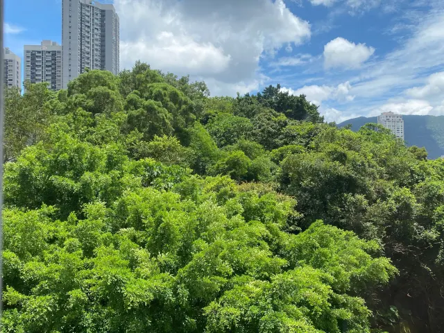Bellevue Heights – 7