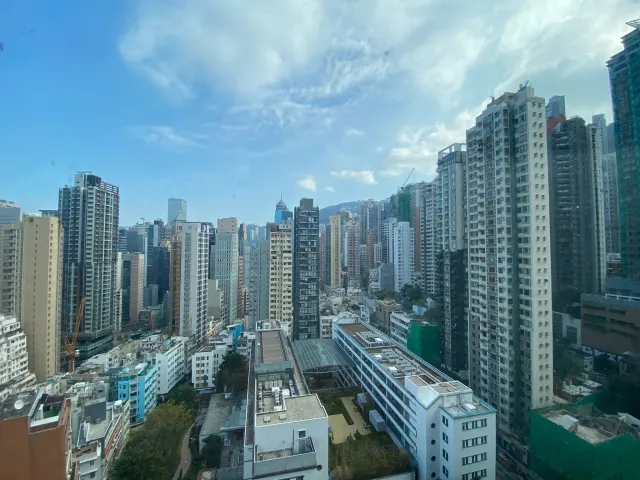 Hollywod Terrace 荷李活華庭