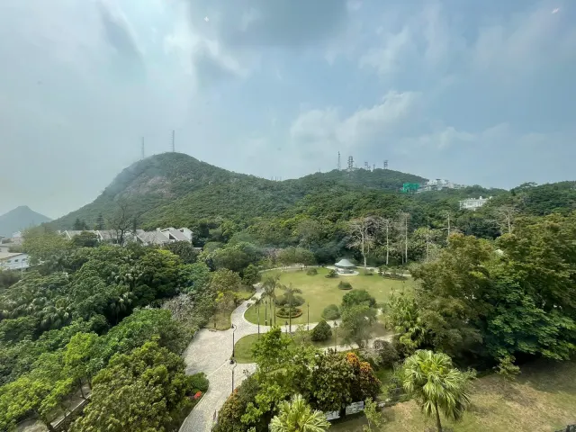 THE MOUNT AUSTIN