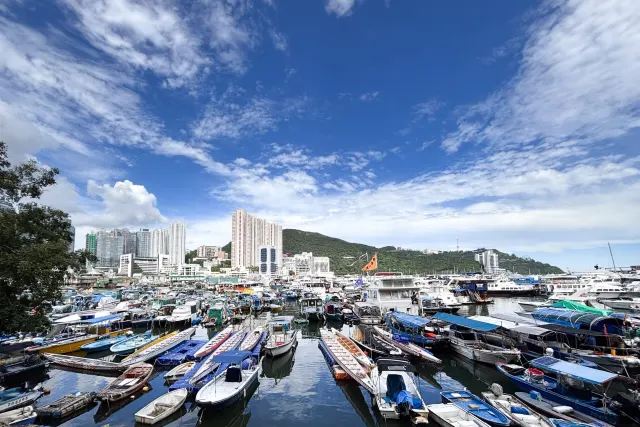 SHAM WAN TOWERS 深灣軒 + ROOF – 18