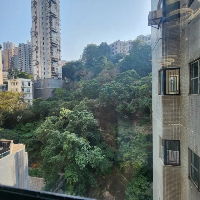 JOLLY VILLA 竹麗苑 – 2