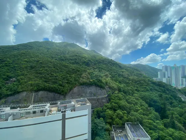 ISLAND GARDEN 香島 – 17