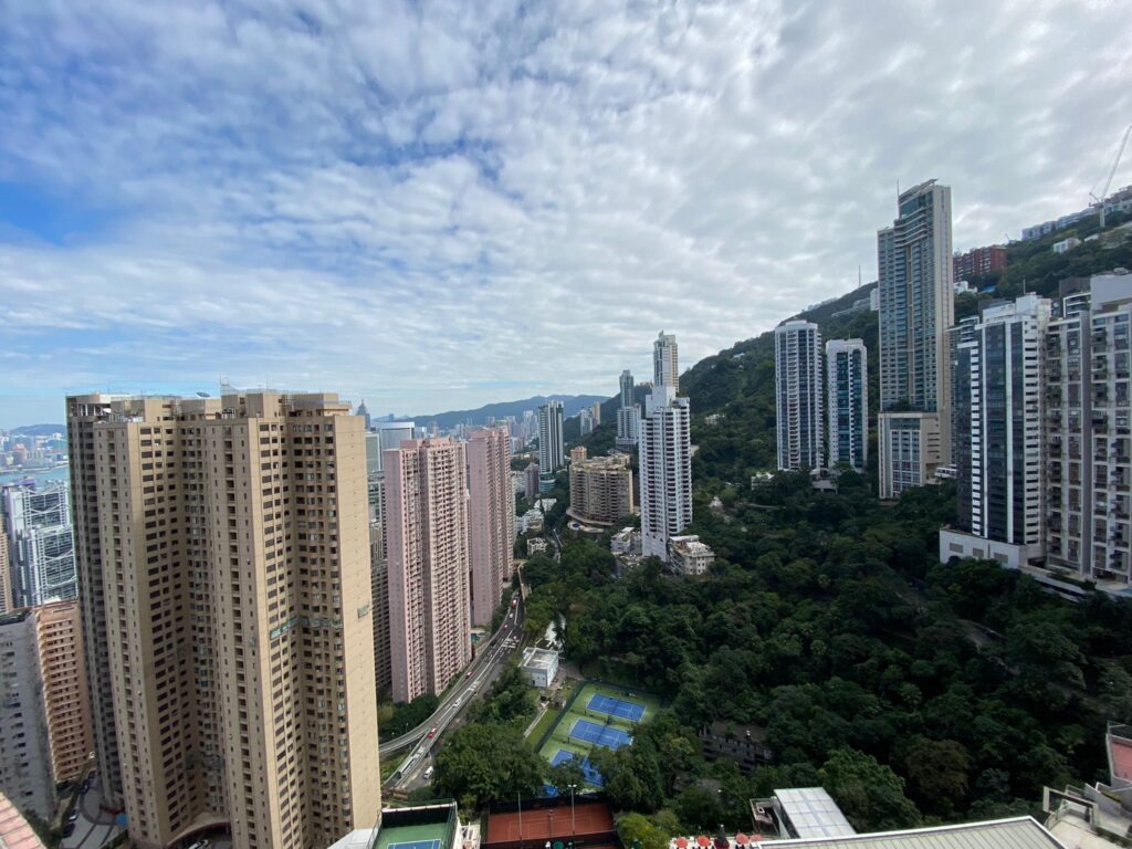 DYNASTY COURT – 10