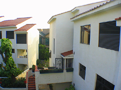 EVERGREEN GARDEN