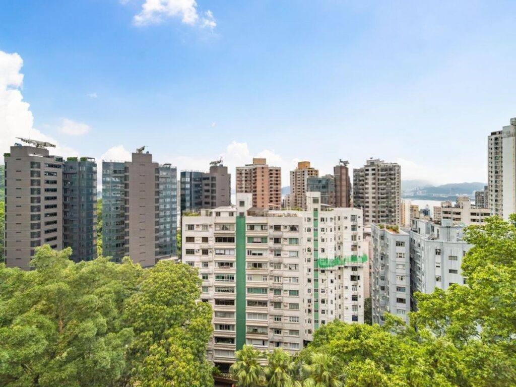 SKYLINE MANSIONS – 14