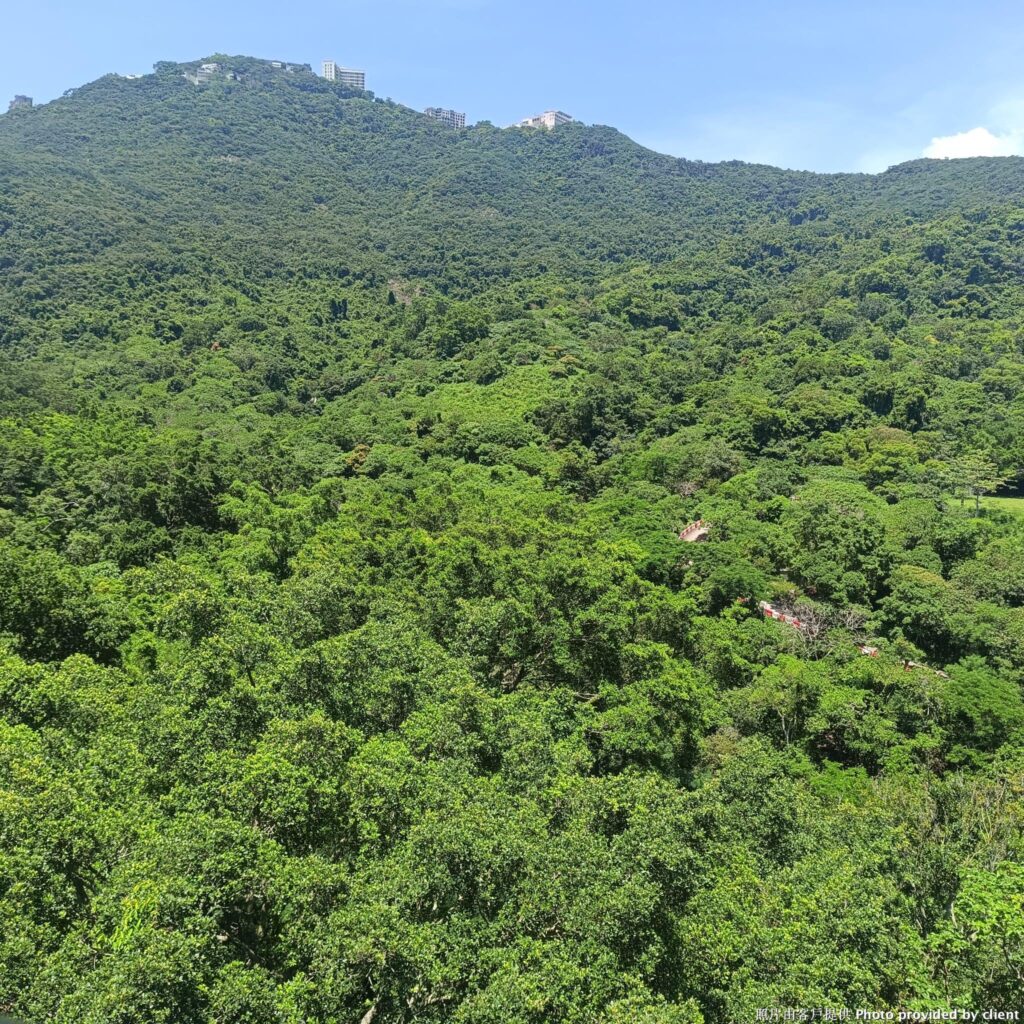 YAR CHEE VILLAS + GARDEN 雅致洋房 – 1